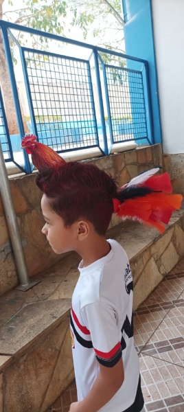 ...